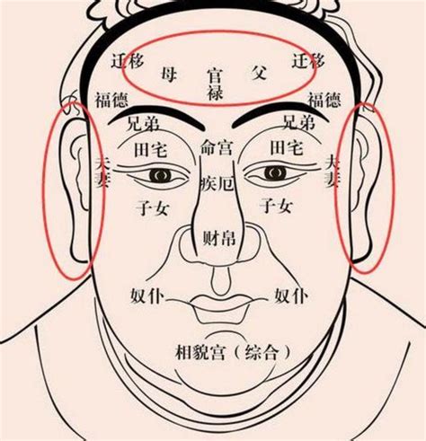 東西南北風向龍鳳配 百歲流年圖 面相